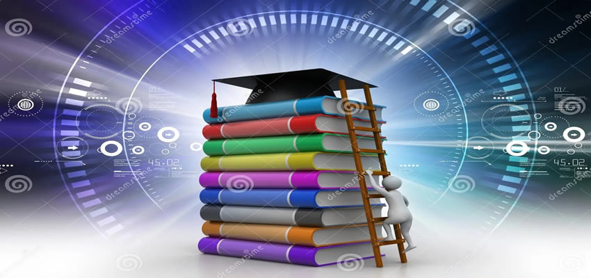 Programmes’ value proposition 